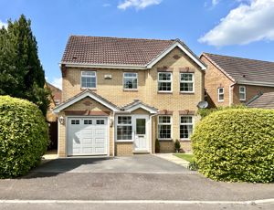 Front- click for photo gallery